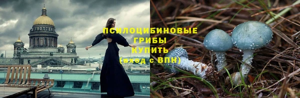 прущие крисы Надым